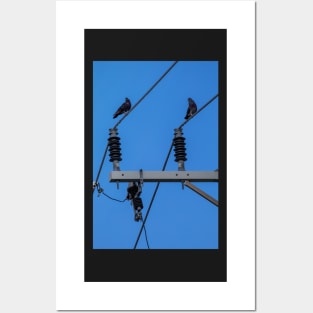 Two Pigeons on Powerlines Posters and Art